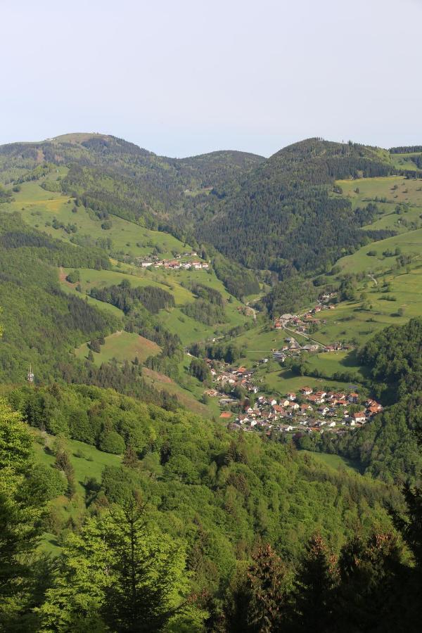 Hotel Kirchbuehl Im Schwarzwald Hotel Schönau im Schwarzwald Εξωτερικό φωτογραφία